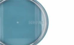 Mepal Thermo Lunch Pot, 500+200 ml Ellipse | Nordic Green (Türkis) -Badaccessoires Verkäufe 12531629 2 202101041432